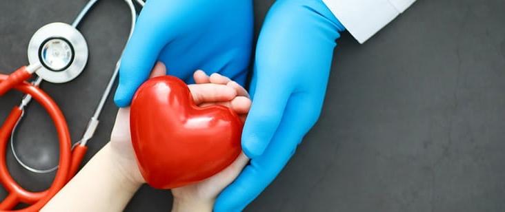 医生握着病人的手，红色的心脏和听诊器 